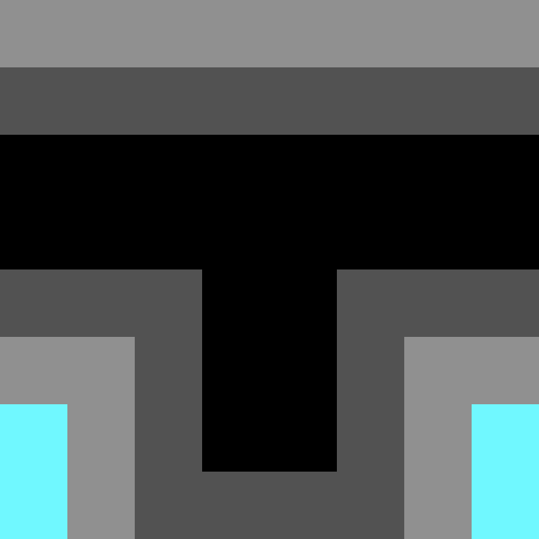 Purificator's skin