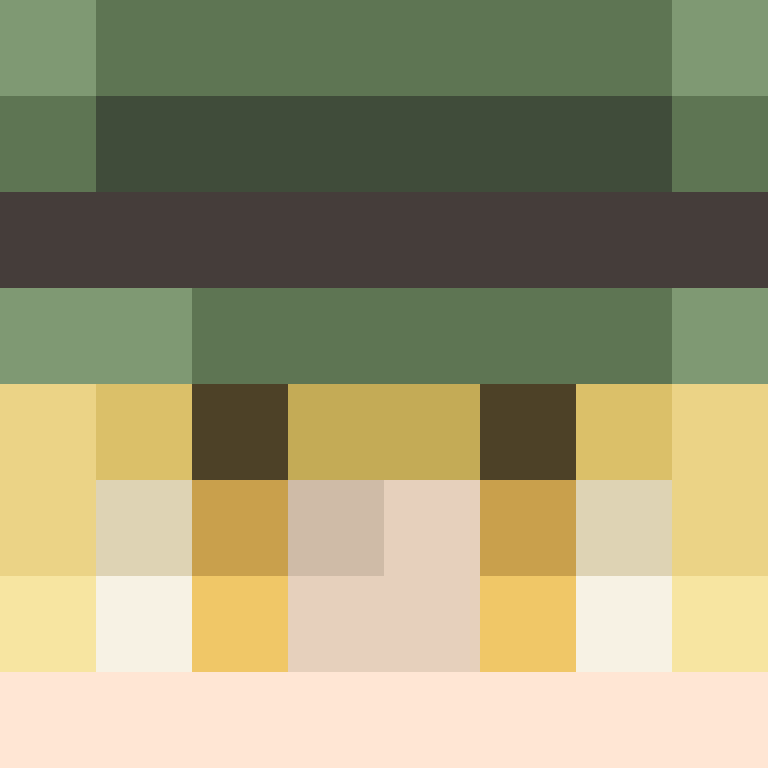 TheSentinalFN's skin