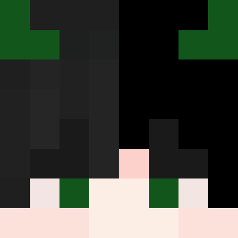MiniGamerD's skin