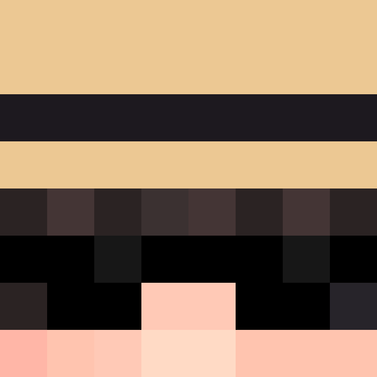 povNPC's skin
