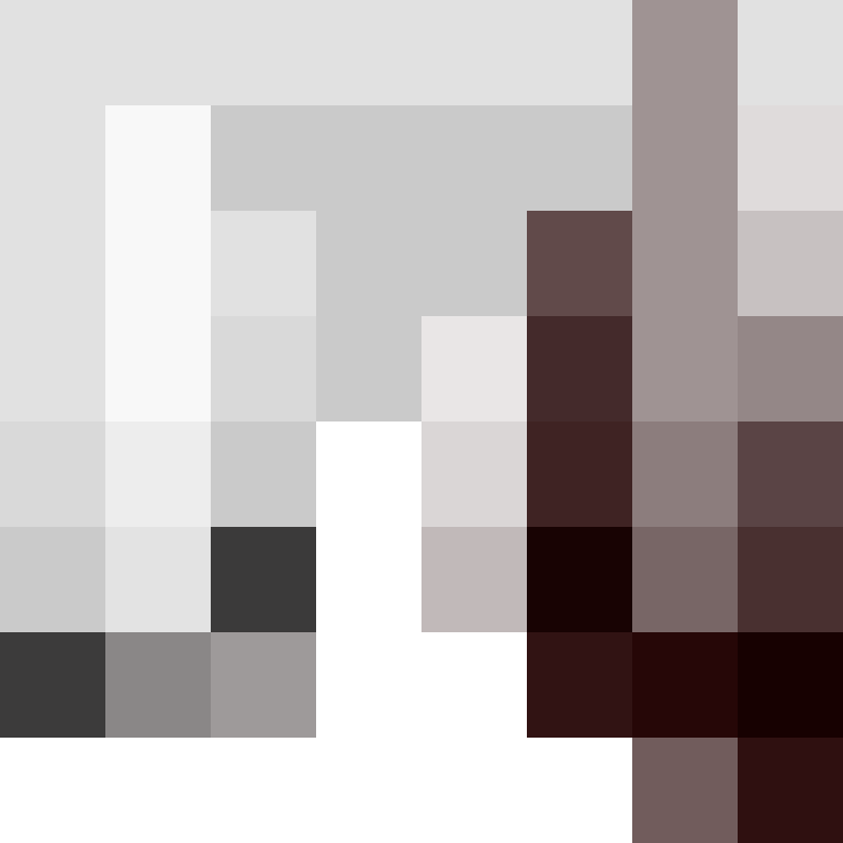 deminecrafterlol's skin