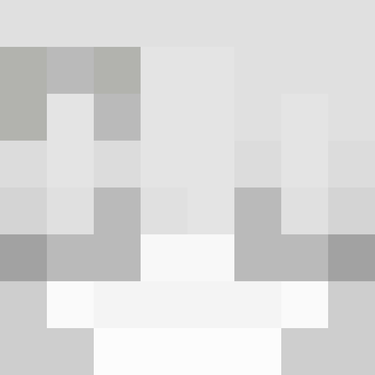 Irrss's skin