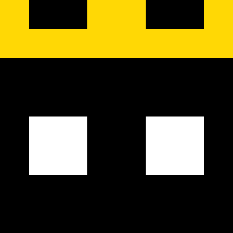 BlitzPikachu100's skin