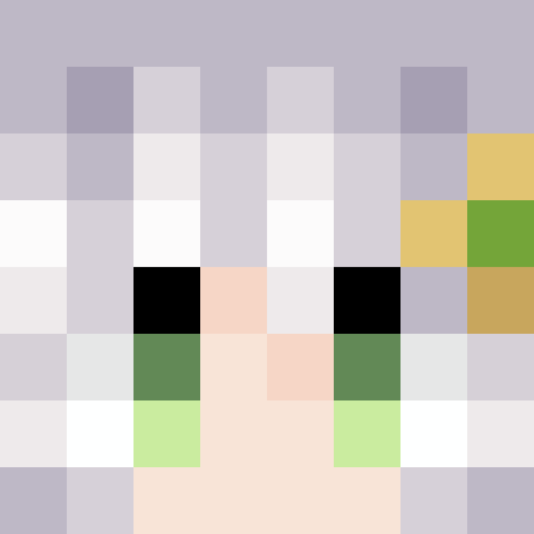 xX_No_Income_Xx's skin