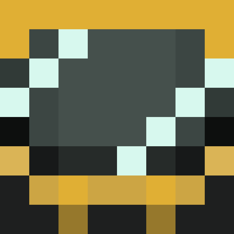 1Ht3's skin