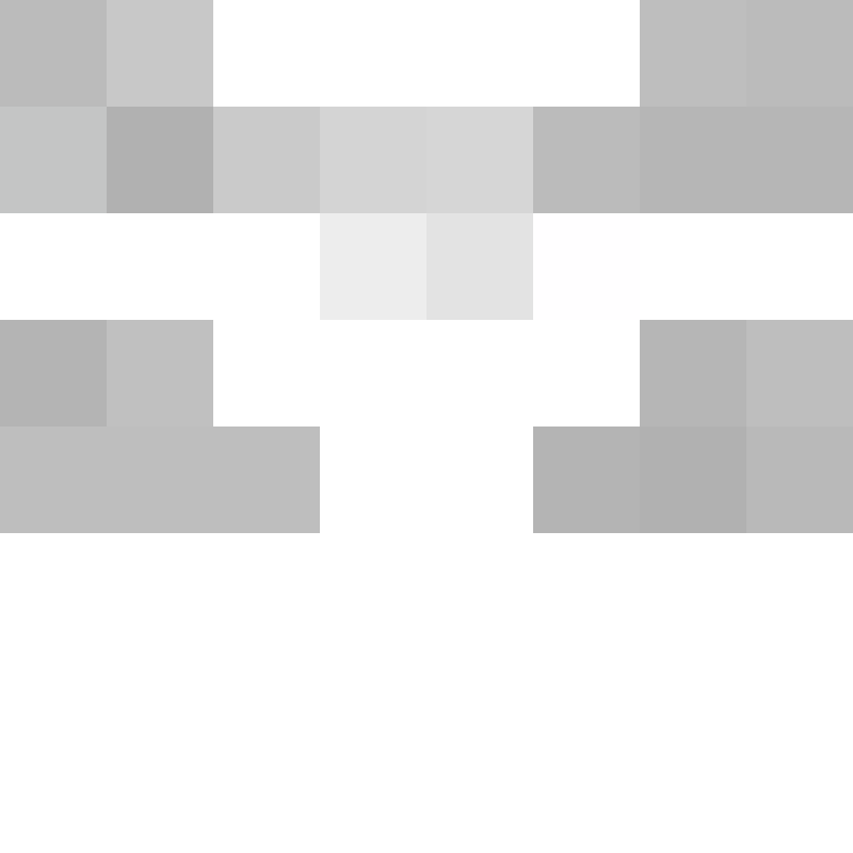 levraiboss's skin