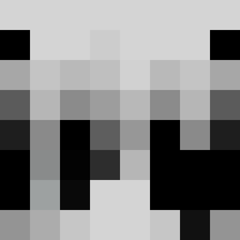 fireworks147's skin