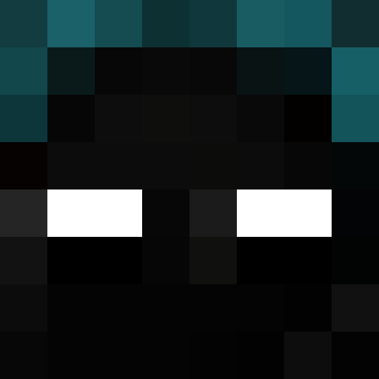 herrastister's skin