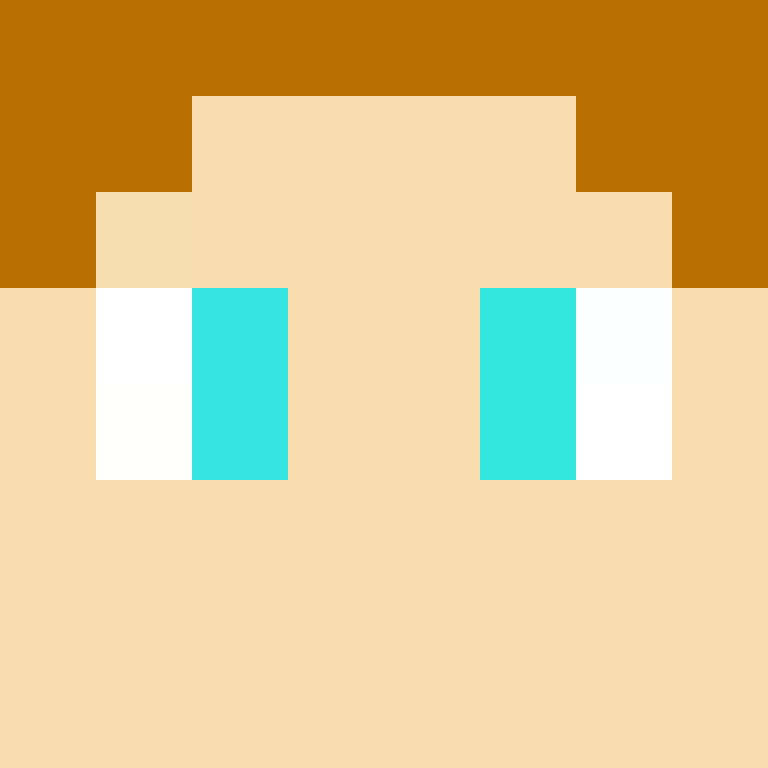 AidenE2012's skin