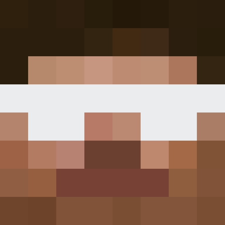 Invixit's skin