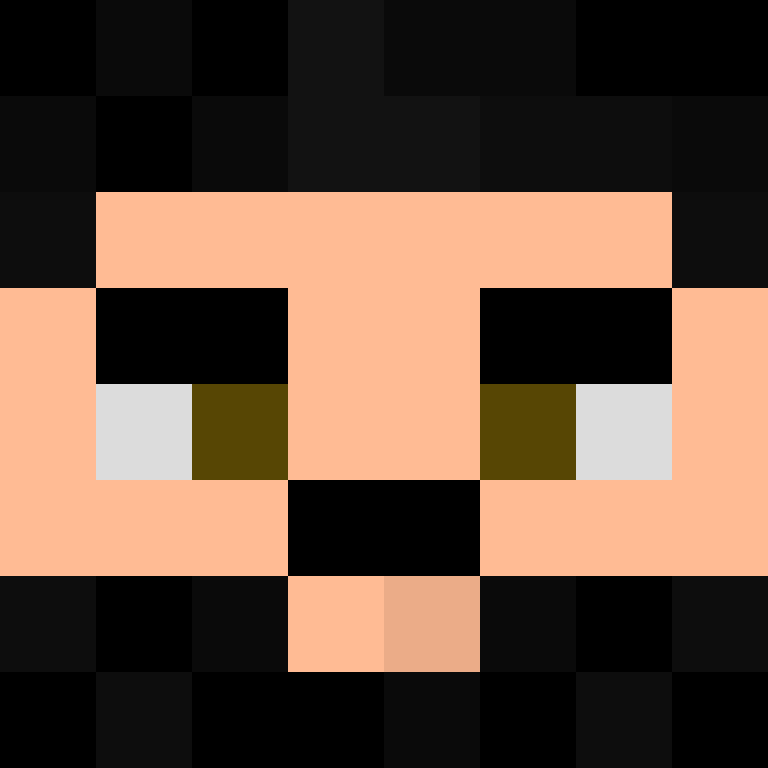 v1rfs's skin