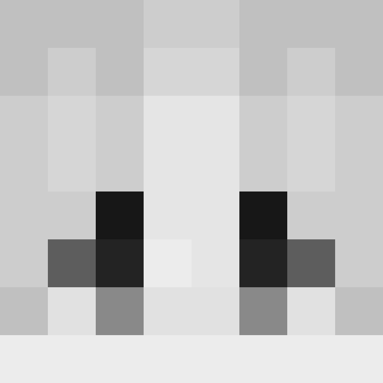 L0WFiSTER's skin