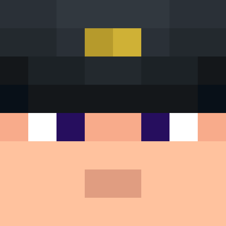 Nikoleit0r's skin