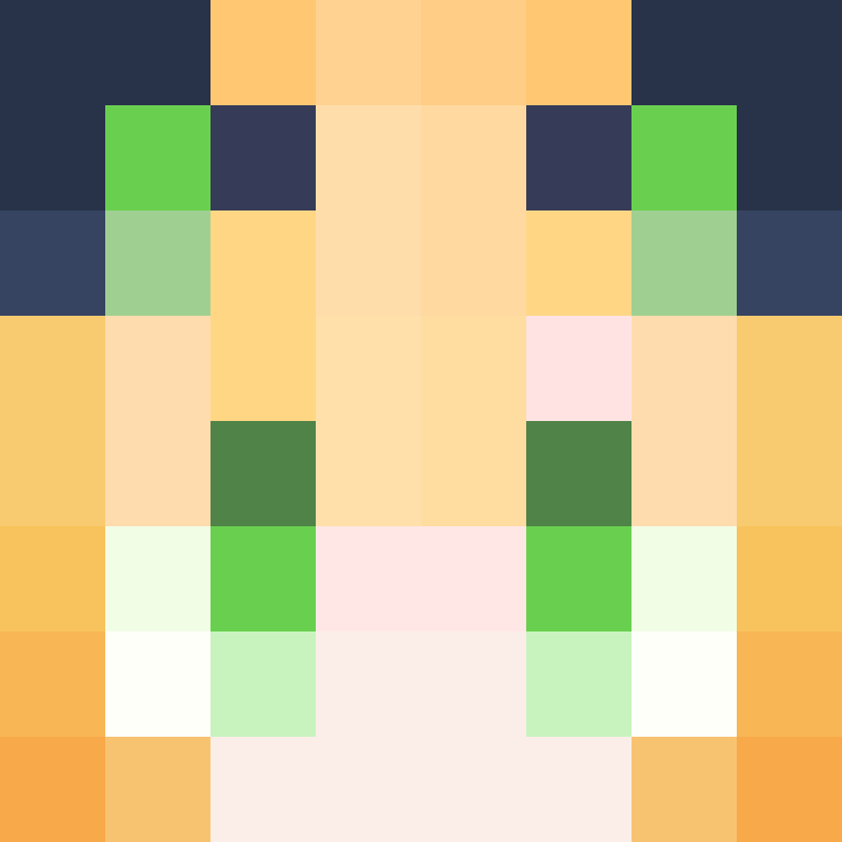 MIMisn's skin
