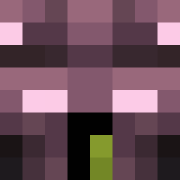 POLARNll's skin