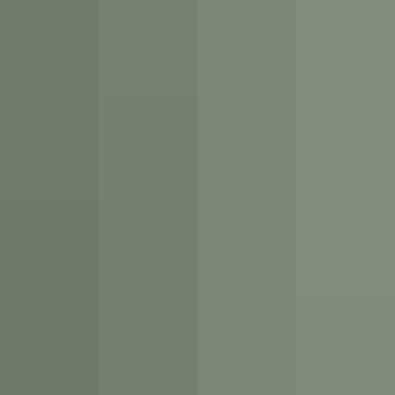 BradBot_2's skin