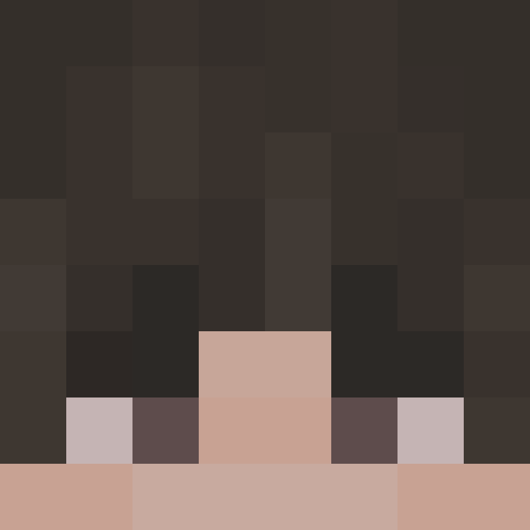 NoxGamerMC's skin