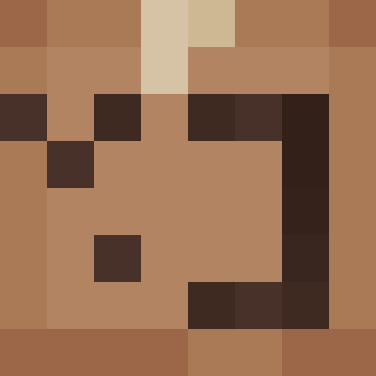 silentwire's skin