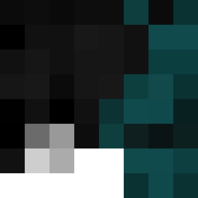 LEINSY's skin