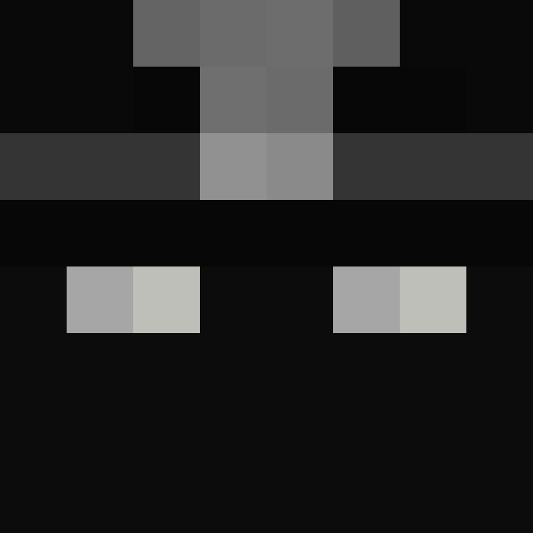 _LeBoucher's skin