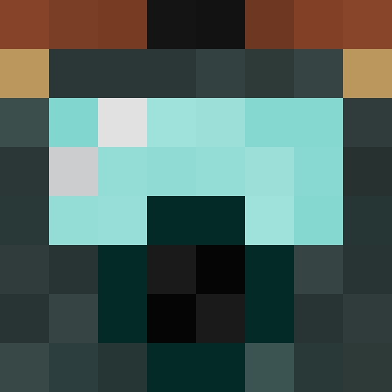 Nolexkthefirst's skin