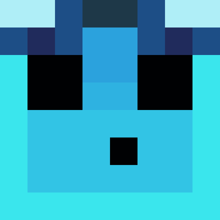 4CVIT's skin