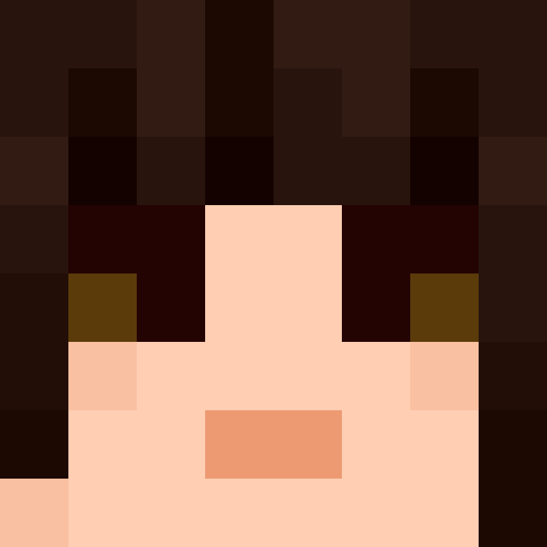 BukkitAPI's skin