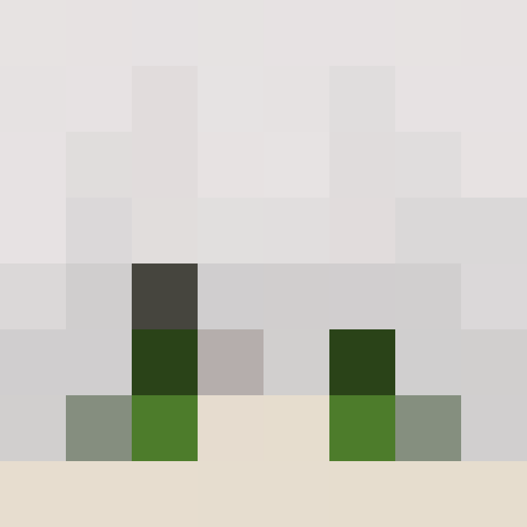 TheDottoree's skin