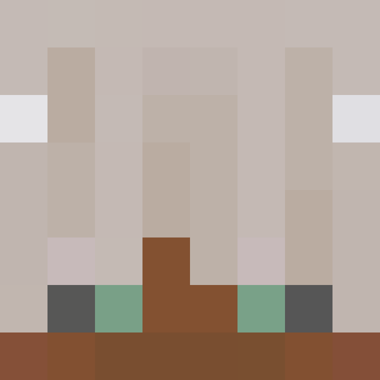 pobearr's skin