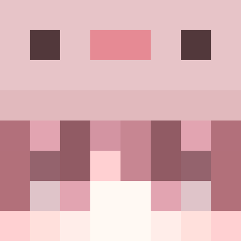 DidiXD0202's skin