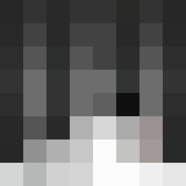 shrpay's skin