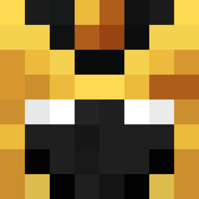 Gamerboy4545's skin