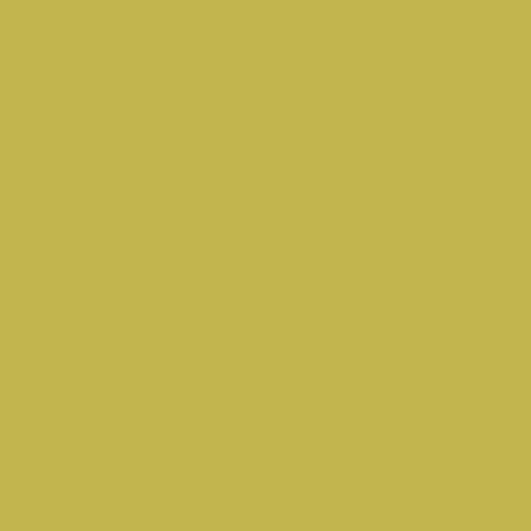 PatatjeMC's skin