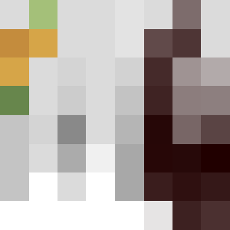 VxlkyrieMC's skin