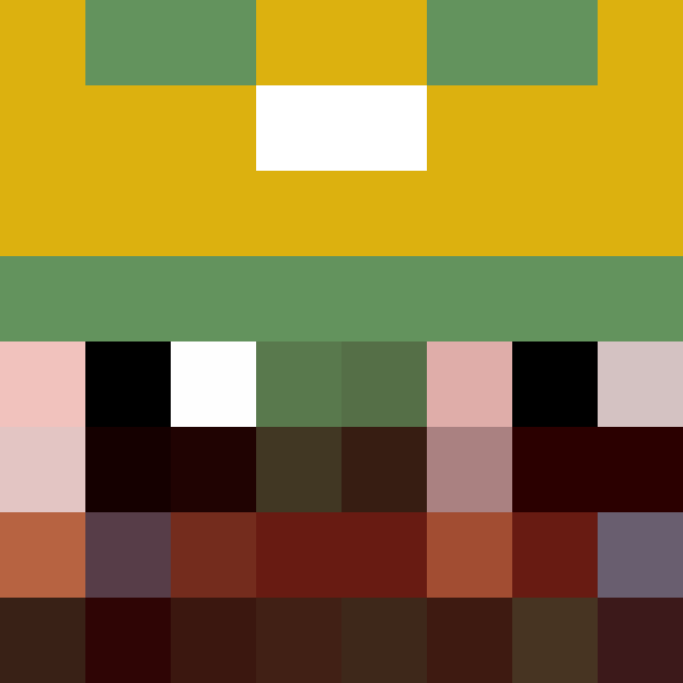 DudewwhatLOL's skin