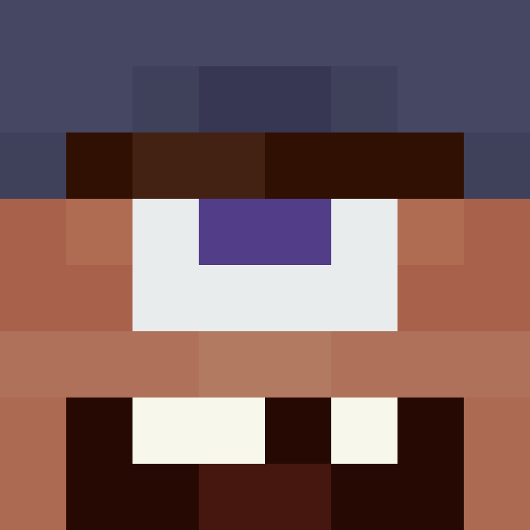 8aca680b22461340's skin