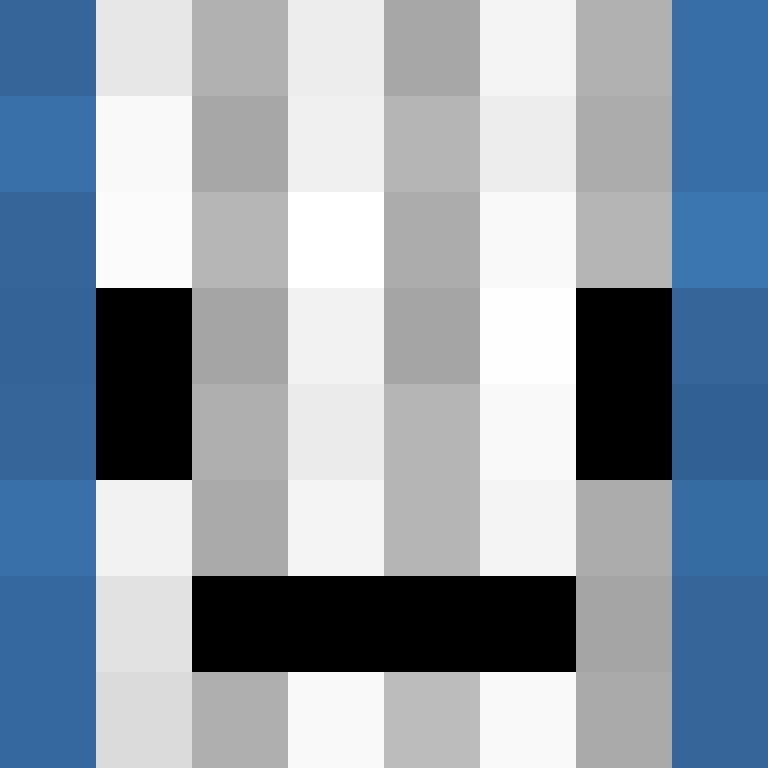 Bluebookva's skin