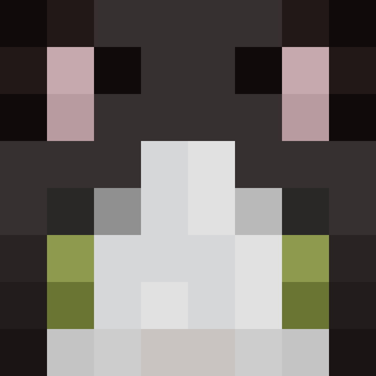 AutoSkin's skin