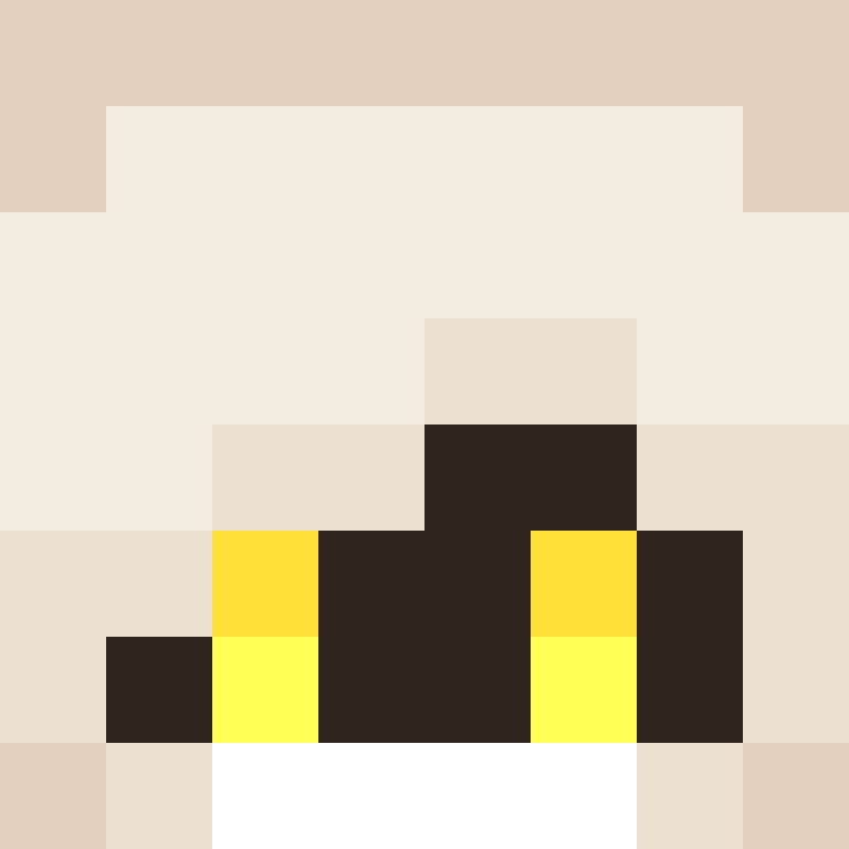 NoxxieMC's skin