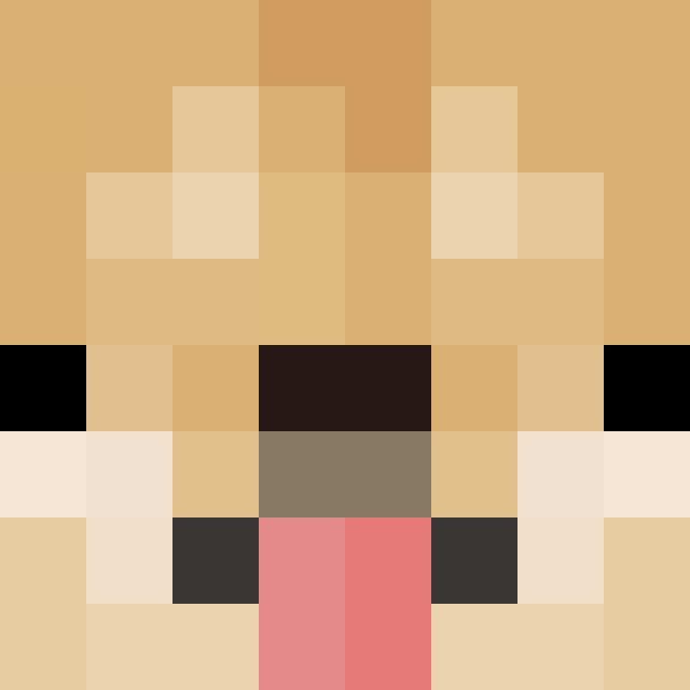 saint__XIV's skin