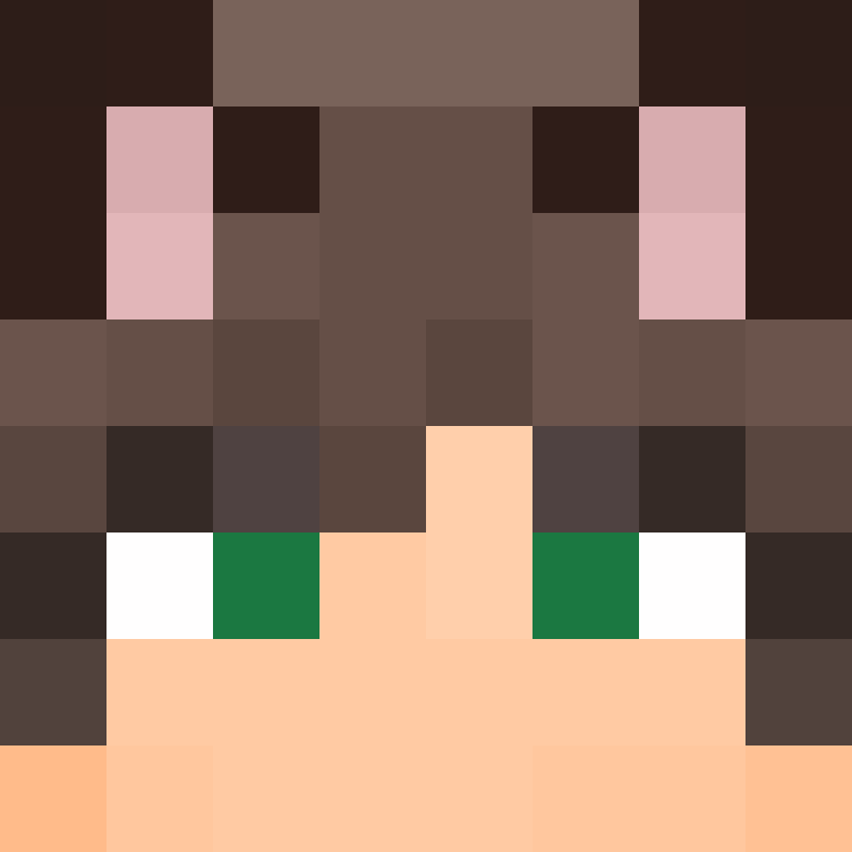 NikSkayGaming's skin