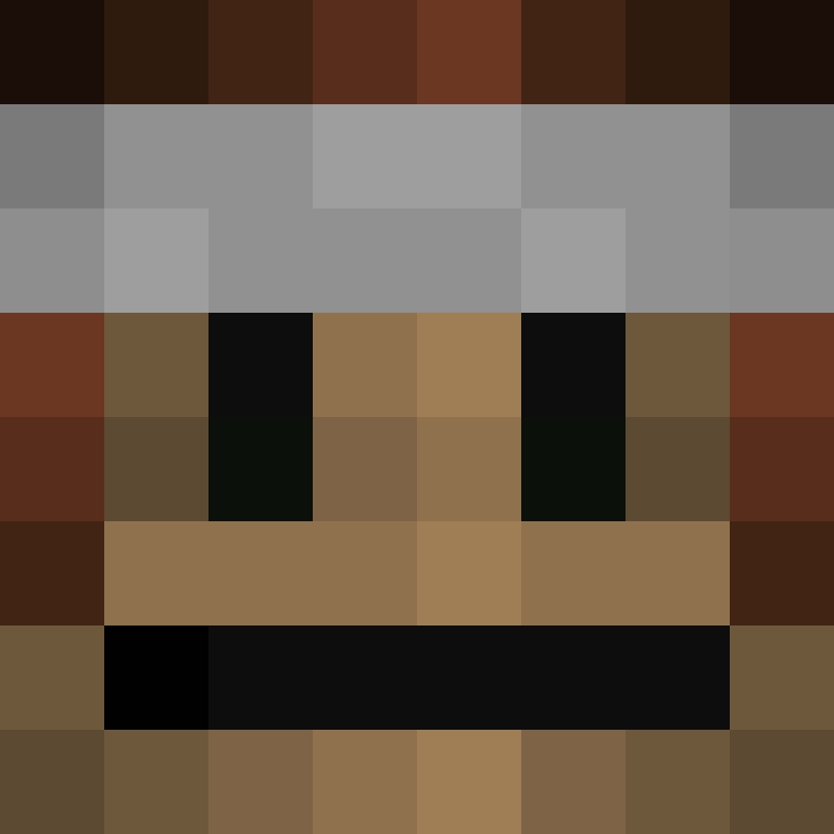 HermesFleet's skin