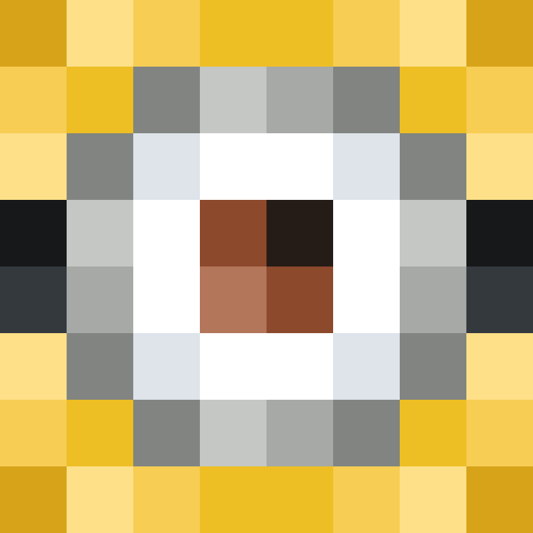 premiumbroom's skin