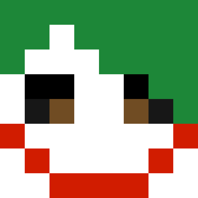 SansarSalvooo's skin