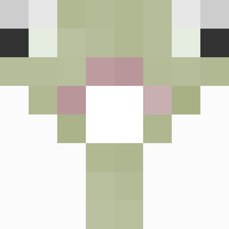 botafoguenseZz's skin