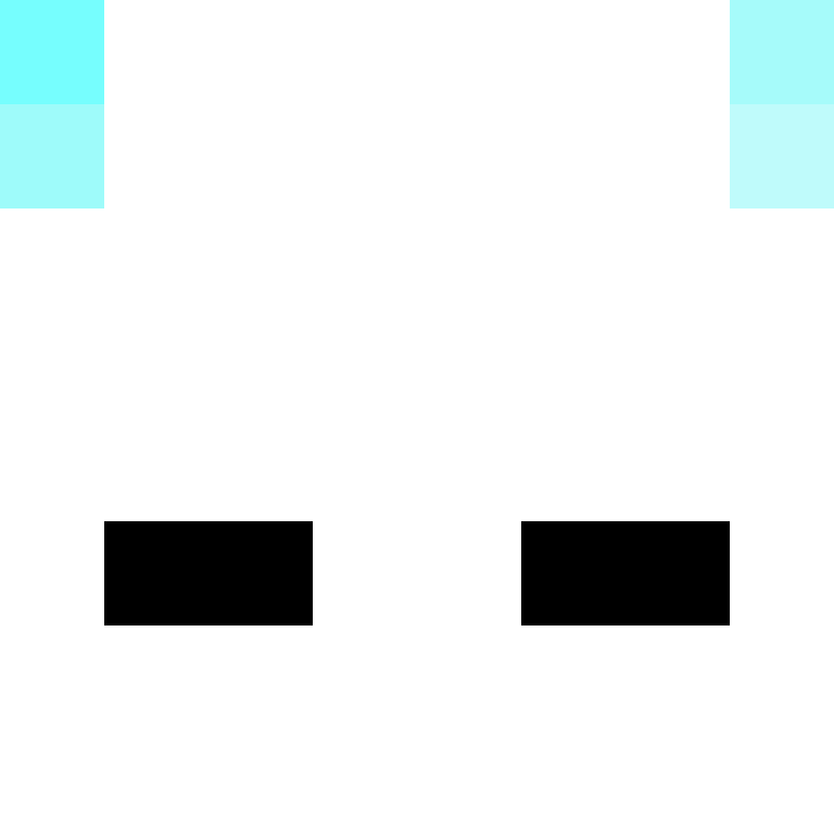 460z's skin
