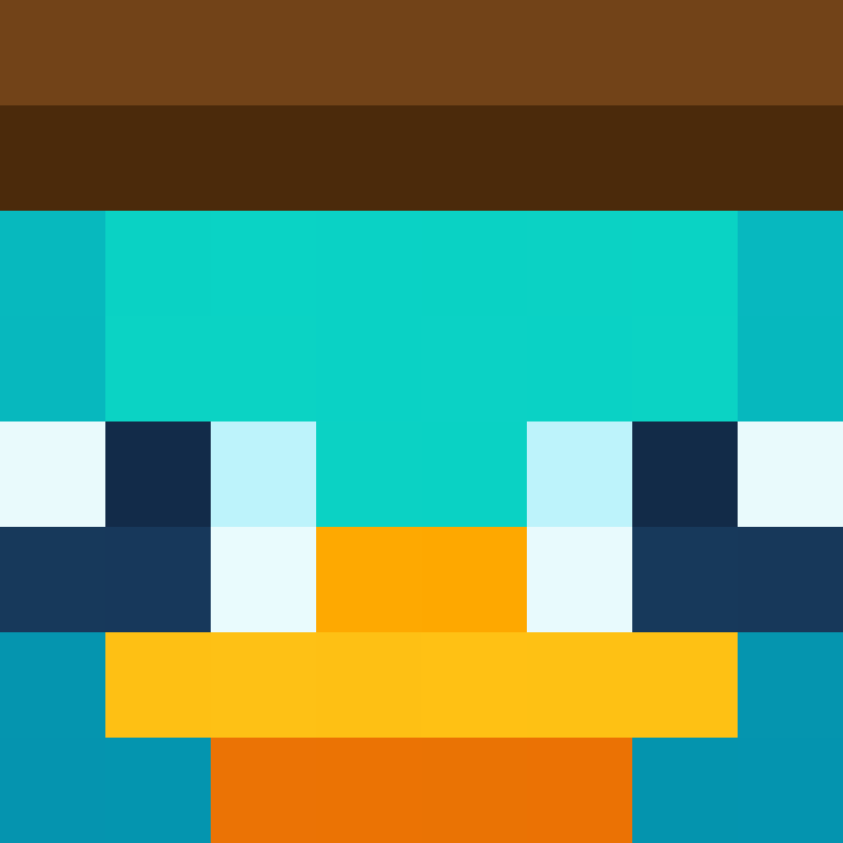 join_xp_team12's skin