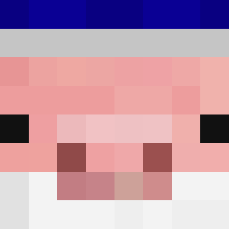 S4sanek's skin