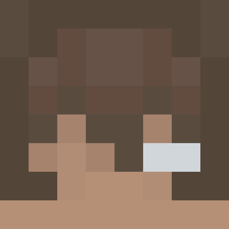 8aca680b22461340's skin