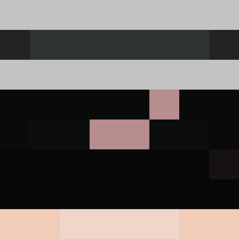 NinjaSparkles's skin
